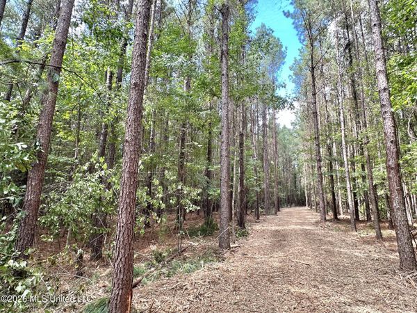 2 Clara Foote Rd, Braxton, MS 39044