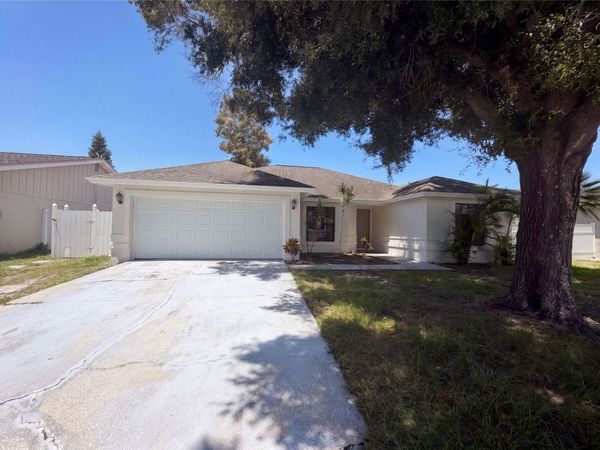 9507 LETTERSTONE COURT , TAMPA, FL 33615