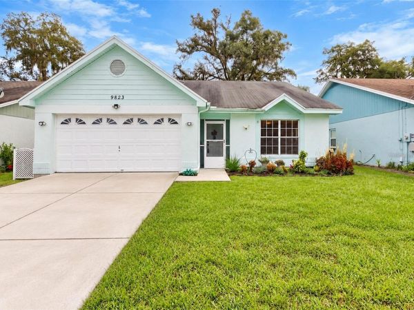 9823 SIR FREDERICK STREET , TAMPA, FL 33637