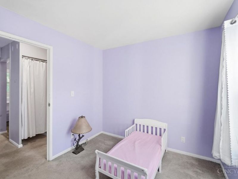 1062 Garnoa Drive, Springfield Township, OH 45231 Photo 26