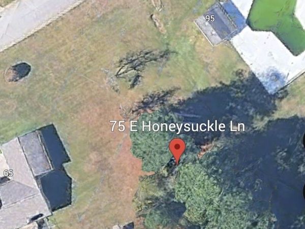 75 E Honeysuckle Lane, Carrollton, GA 30116