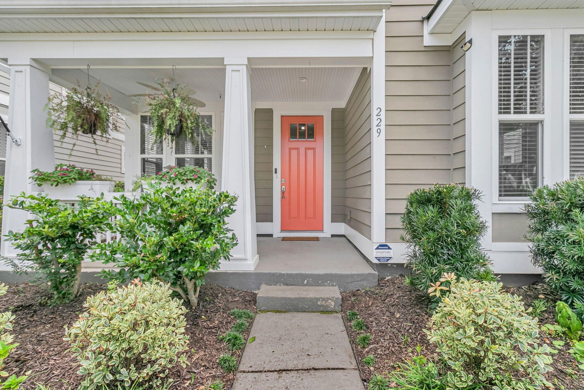229 Ribbon Road Photo 36