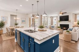 229 Ribbon Road photo 4