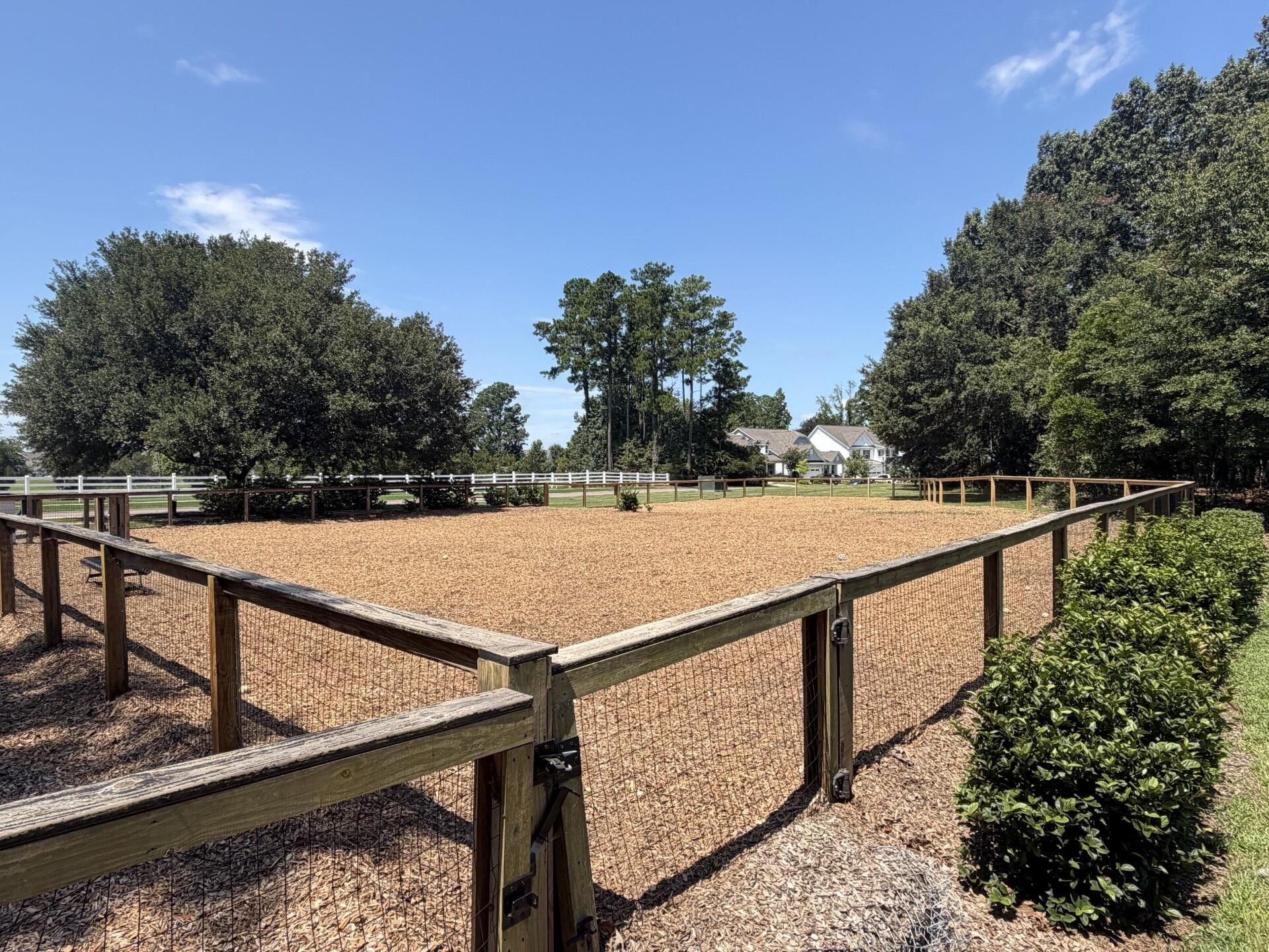 229 Ribbon Road Photo 59