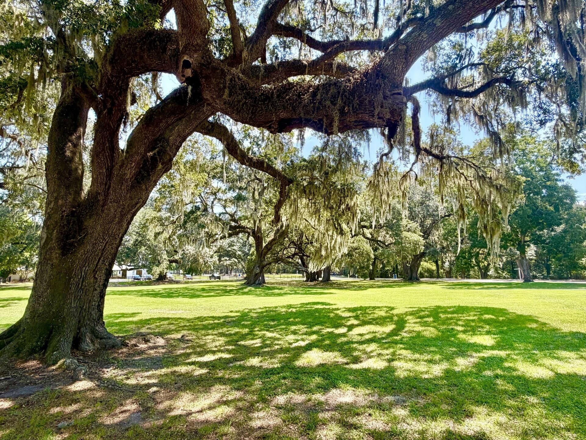 229 Ribbon Road Photo 60