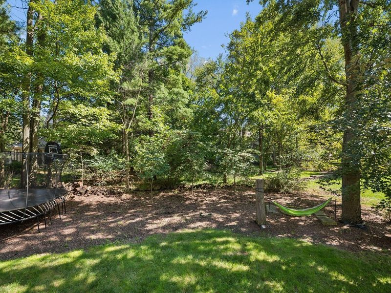 96 Cressingham Lane, Powell, OH 43065 Photo 57
