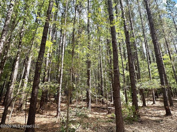 3 Clara Foote Rd, Braxton, MS 39044