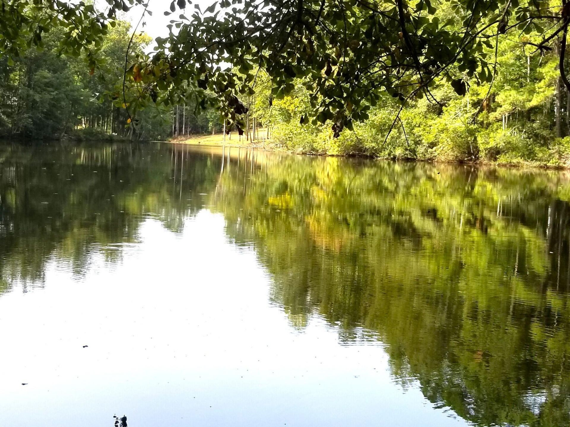 #6 Row Boat Lane Photo 6