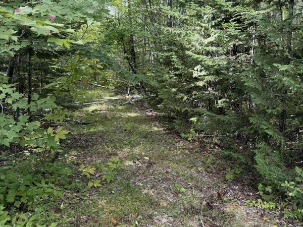 M1 L74 Lyford Road , Orneville Twp, ME 04463