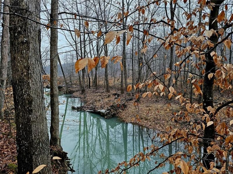 1179 State Route 73, Brush Creek Township, OH 45671 Photo 1