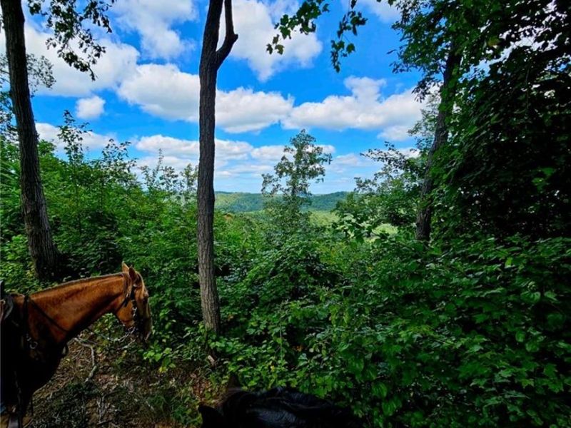 1179 State Route 73, Brush Creek Township, OH 45671 Photo 3