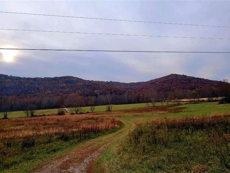 1179 State Route 73, Brush Creek Township, OH 45671 Photo 5