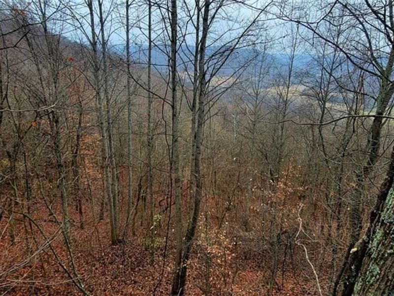 1179 State Route 73, Brush Creek Township, OH 45671 Photo 9