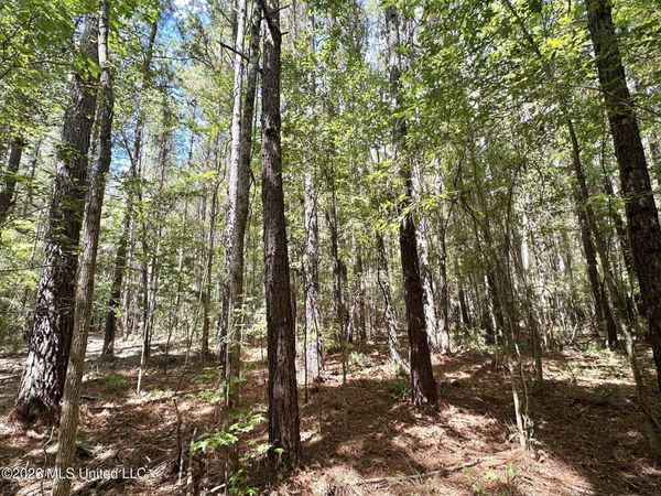 4 Clara Foote Rd, Braxton, MS 39044