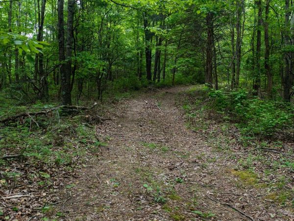 2100 Highway 13, Erin, TN 37061