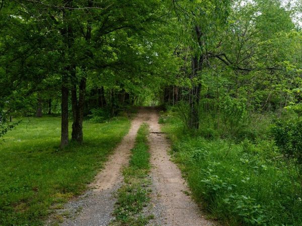 2100 Highway 13, Erin, TN 37061