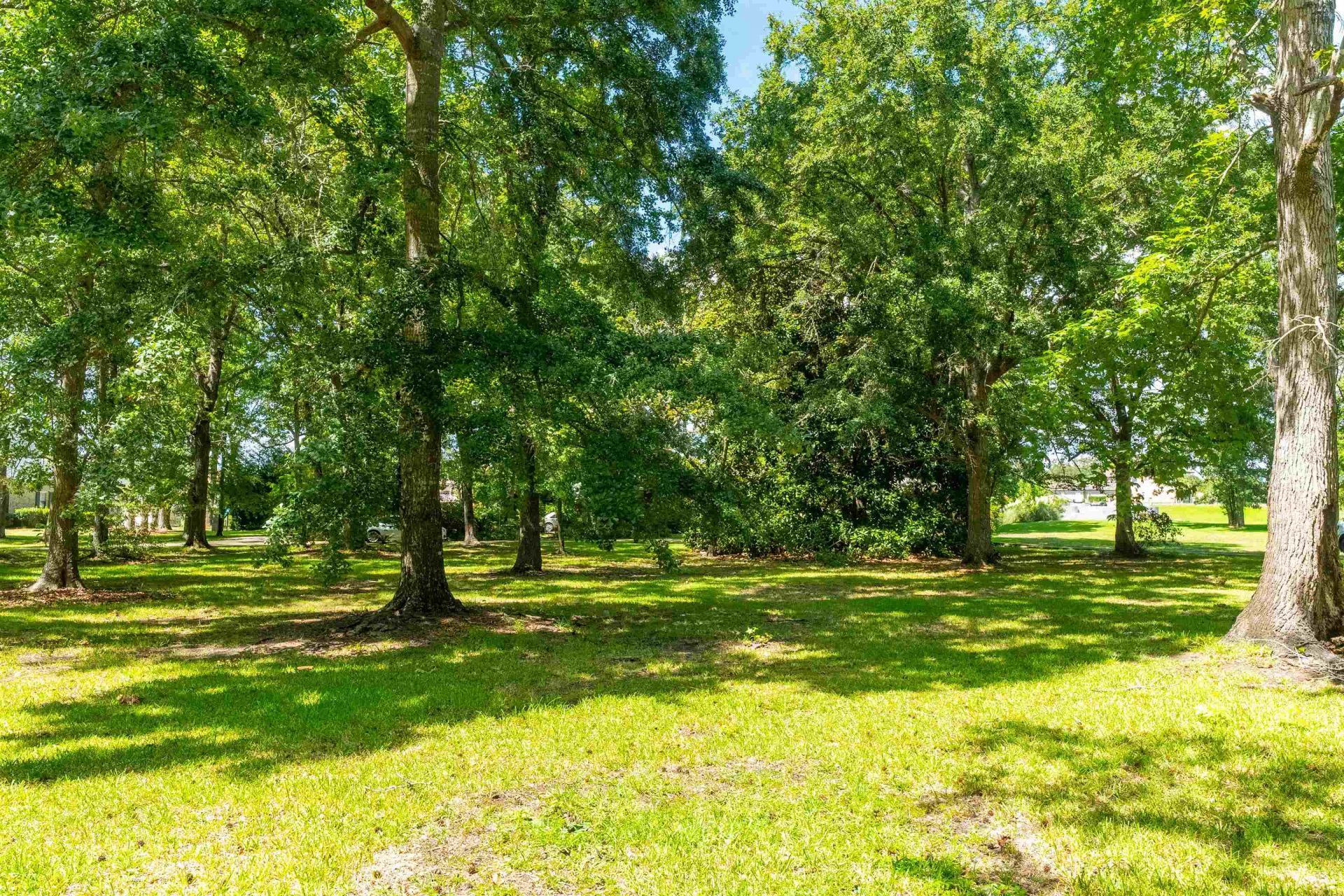 1749 Cliffwood Dr.  Photo 14