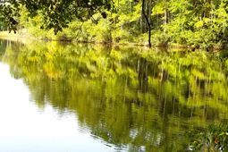 #7 Row Boat Lane photo 4