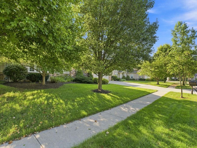 4317 Yellow Wood Drive, Dublin, OH 43016 Photo 3