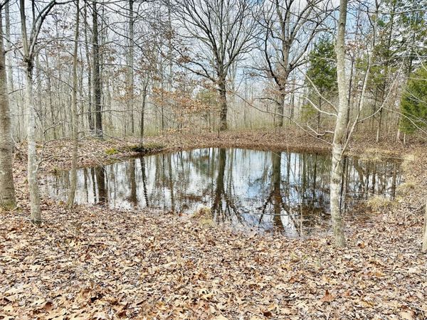 2100 Highway 13, Erin, TN 37061