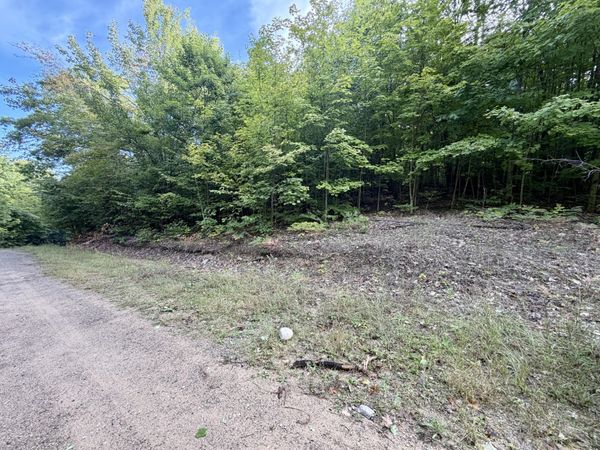 5.6 Acres Deerfield Trail, Boyne Falls, MI 49713