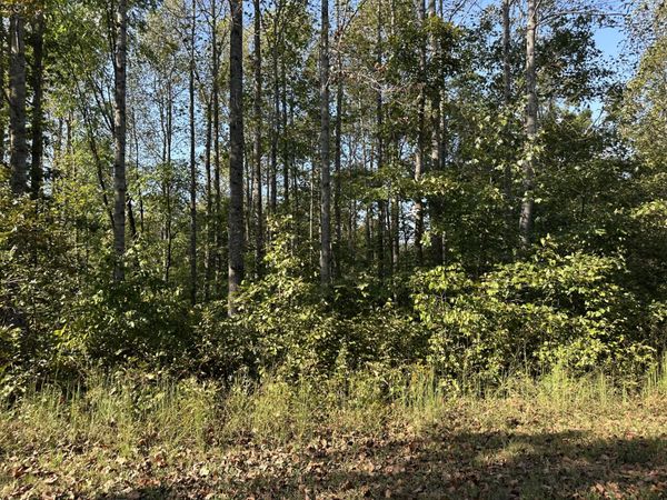 2100 Highway 13, Erin, TN 37061
