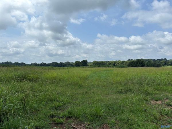 199 Acres Buddy Williamson Road, New Market, AL 35761