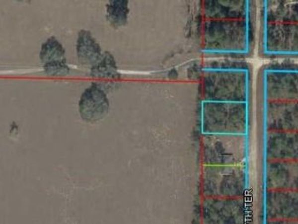 NE 147TH TERRACE , WILLISTON, FL 32696