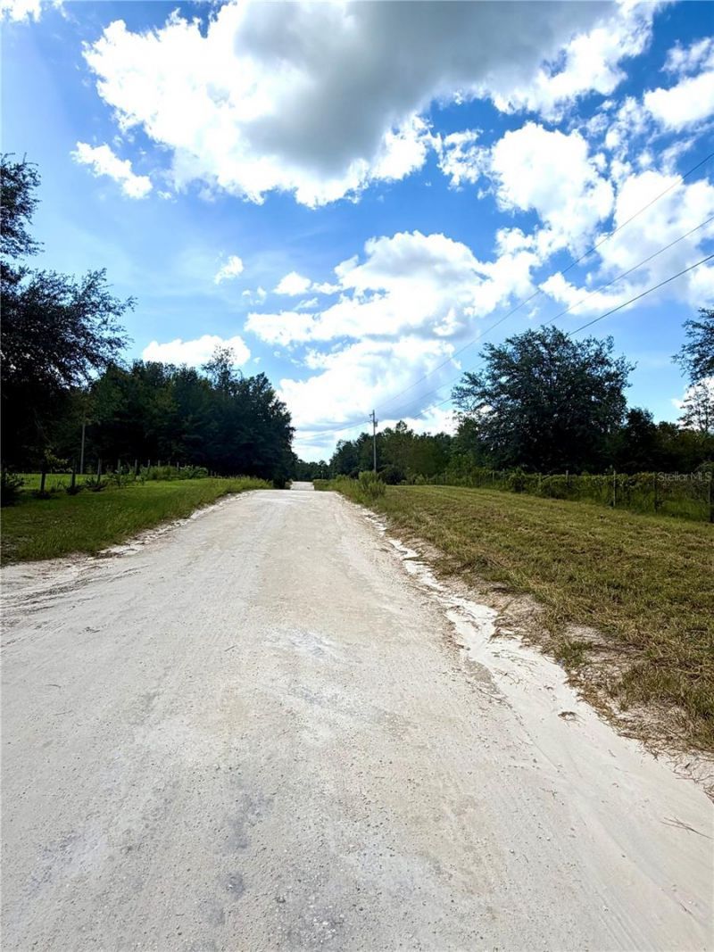 Nw 96th Pl, Branford, FL 32008 Photo