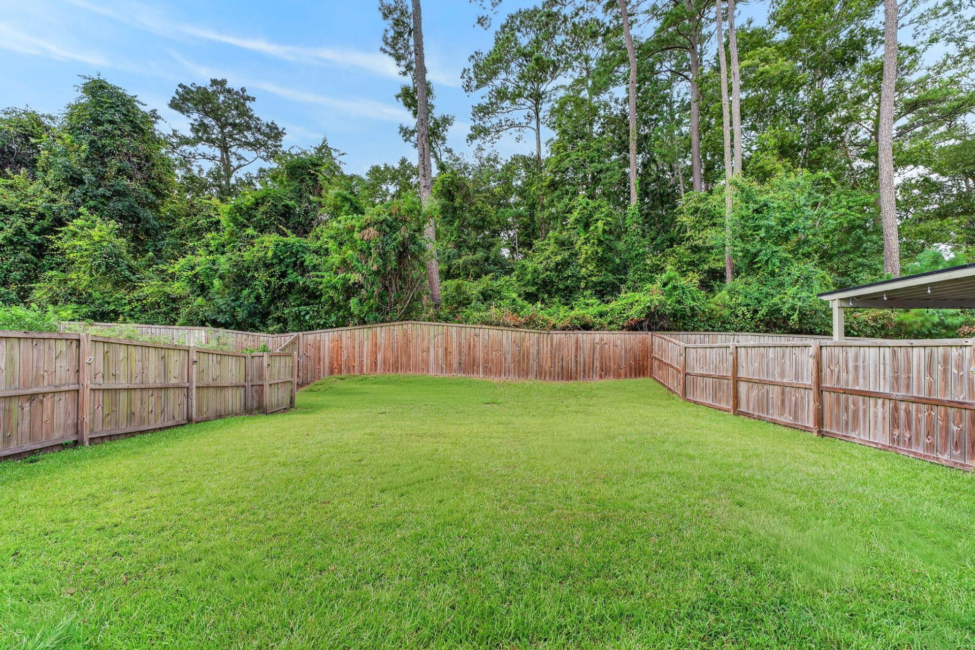 9674 Roseberry Street Photo 37