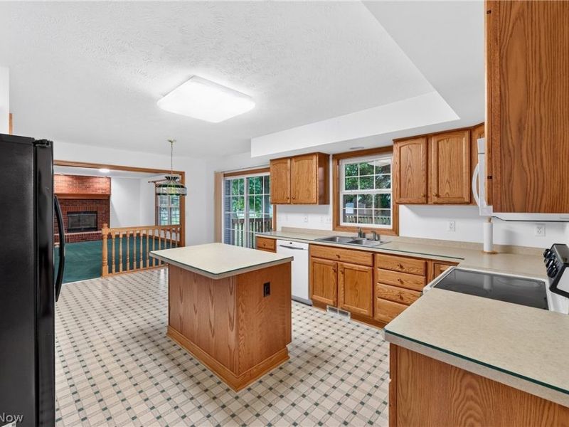 115 Honey Locust Court, Painesville Township, OH 44077 Photo 3
