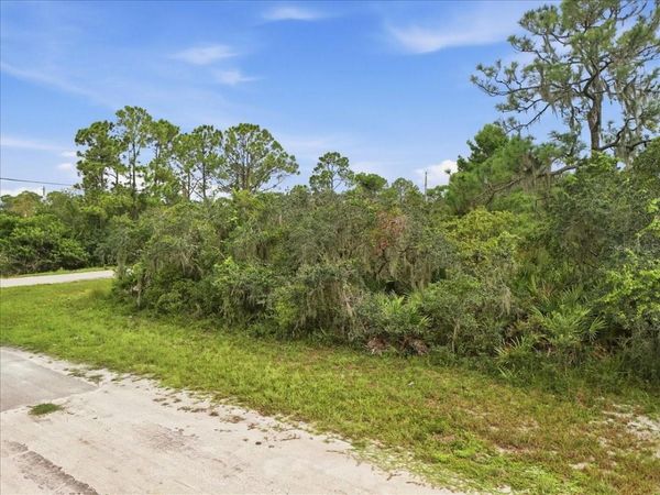213 MARLIN STREET NW, LAKE PLACID, FL 33852