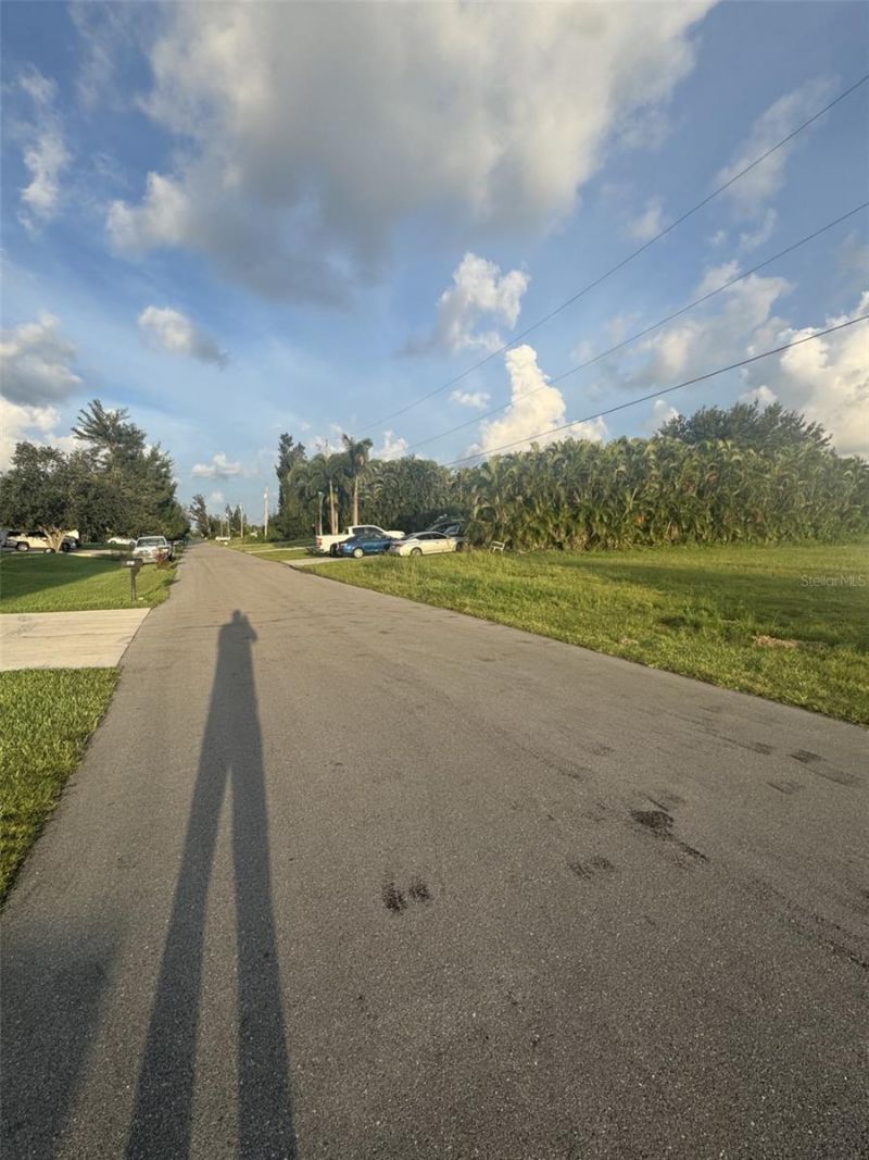 2724 NW 11th Street, Cape Coral, FL 33993 Photo