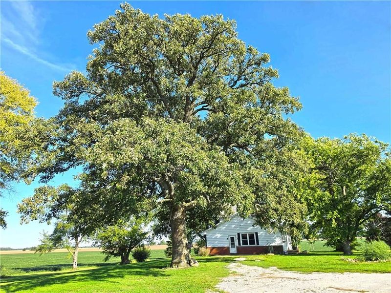 7001 Neil Road, London, OH 43140 Photo 13