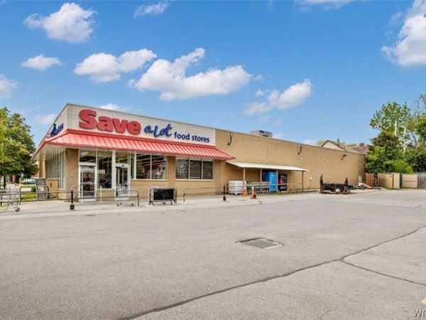 142 Grant Street, Buffalo, NY 14213