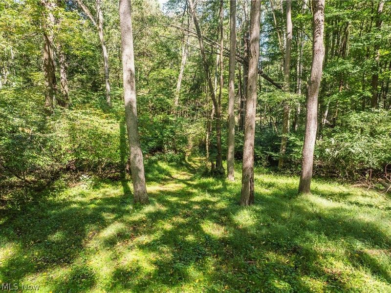10261 Fiat Road, Baltic, OH 43804 Photo 11