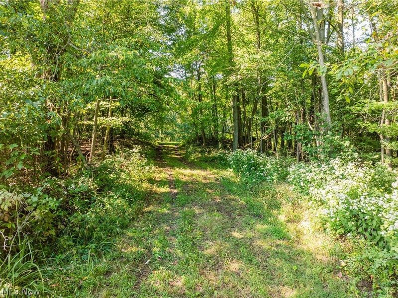 10261 Fiat Road, Baltic, OH 43804 Photo 3