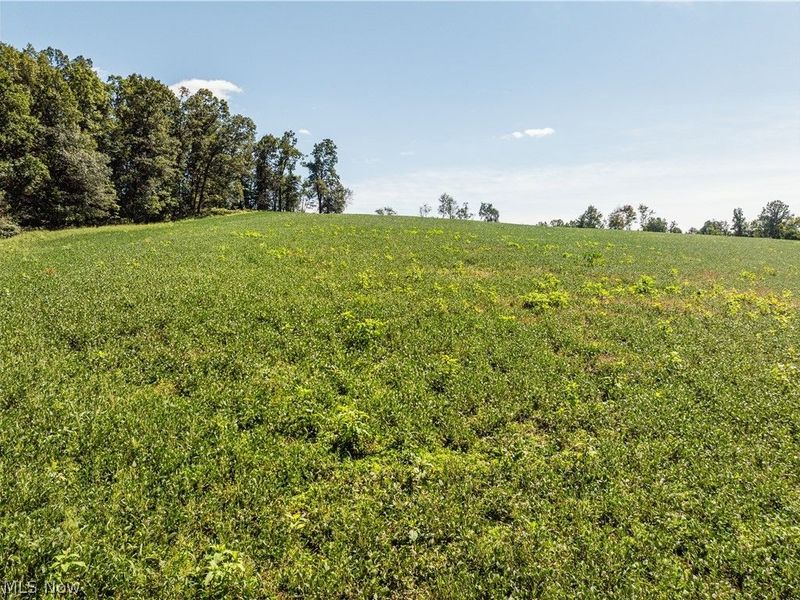 10261 Fiat Road, Baltic, OH 43804 Photo 34