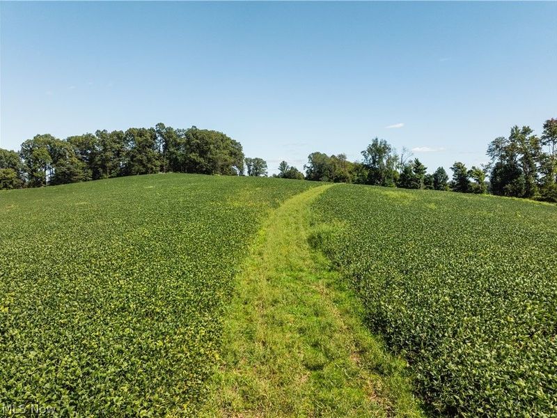 10261 Fiat Road, Baltic, OH 43804 Photo 36