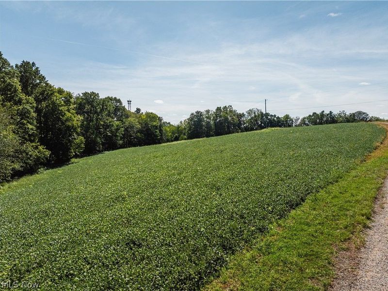10261 Fiat Road, Baltic, OH 43804 Photo 39