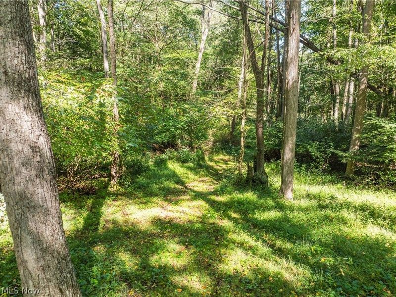 10261 Fiat Road, Baltic, OH 43804 Photo 40
