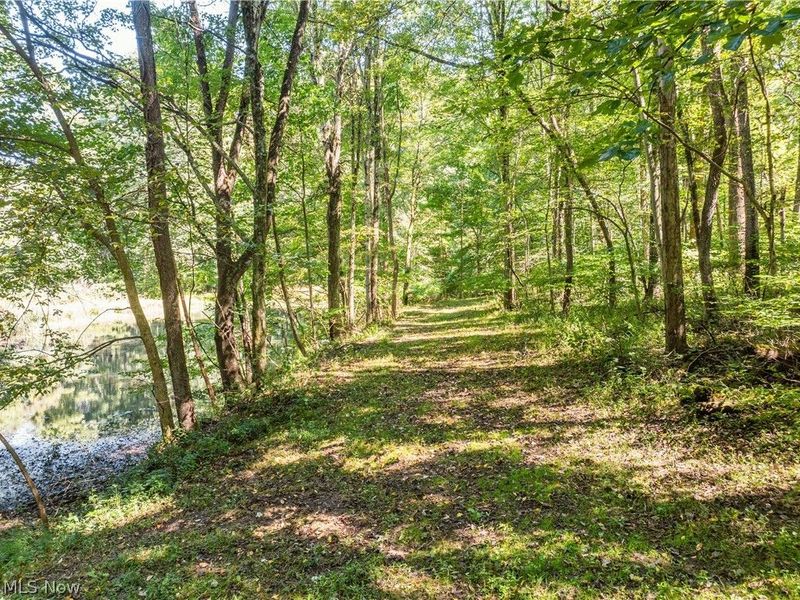 10261 Fiat Road, Baltic, OH 43804 Photo 8