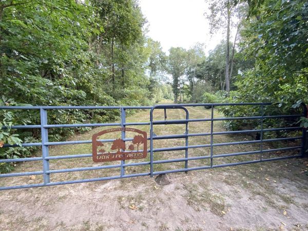11357 Cumberland Road Drive, DeMotte, IN 46310