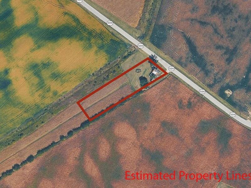 3024 N State Route 559, Woodstock, OH 43084 Photo 17