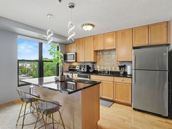 1502 5th Street N, Unit 402, Hopkins, MN 55305