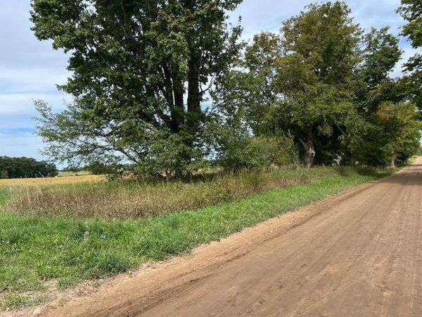 Vining Road, Lakeview, MI 48850