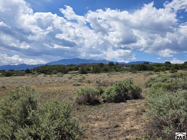Lot 154 Tarryall Ave, Colorado City, CO 81019