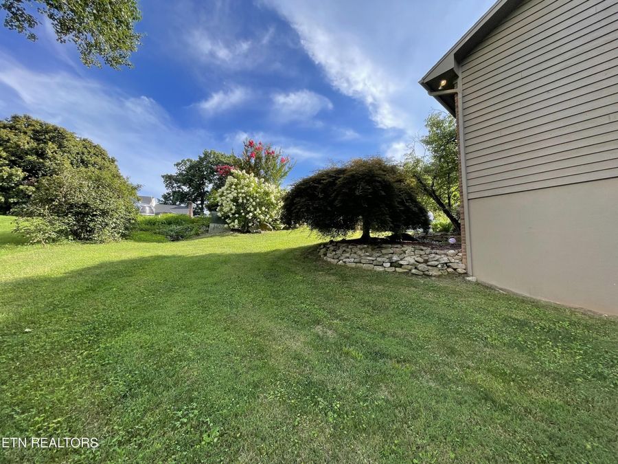 Property Image 58