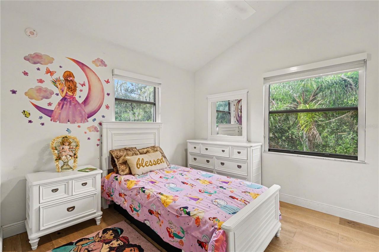 8224 Revels Road, Riverview, FL 33569 Photo