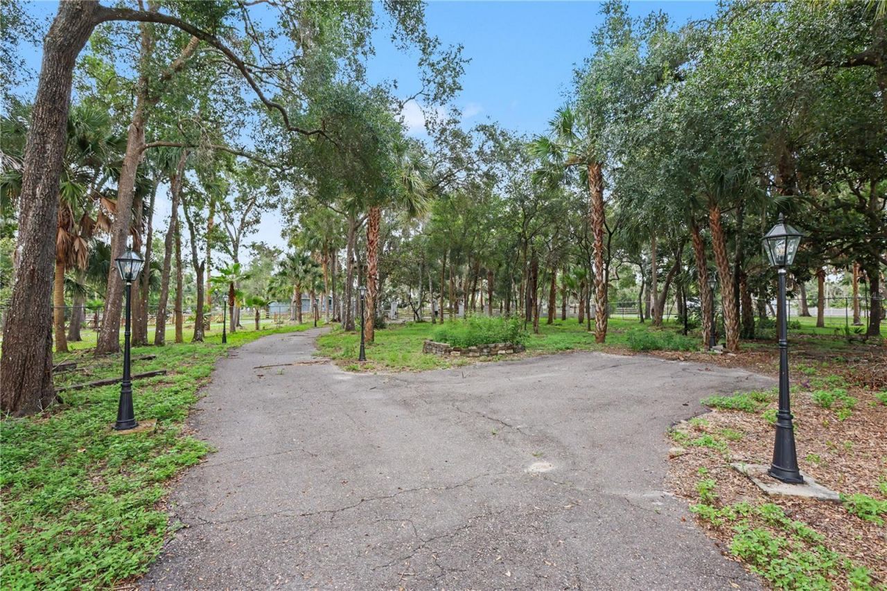 8224 Revels Road, Riverview, FL 33569 Photo